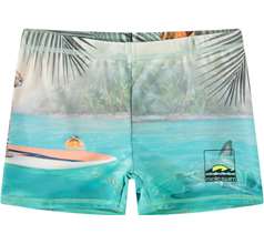 Norton Placed Swimwear